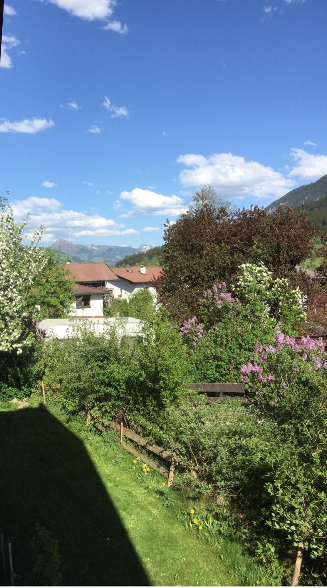Latina Ii * Westendorf